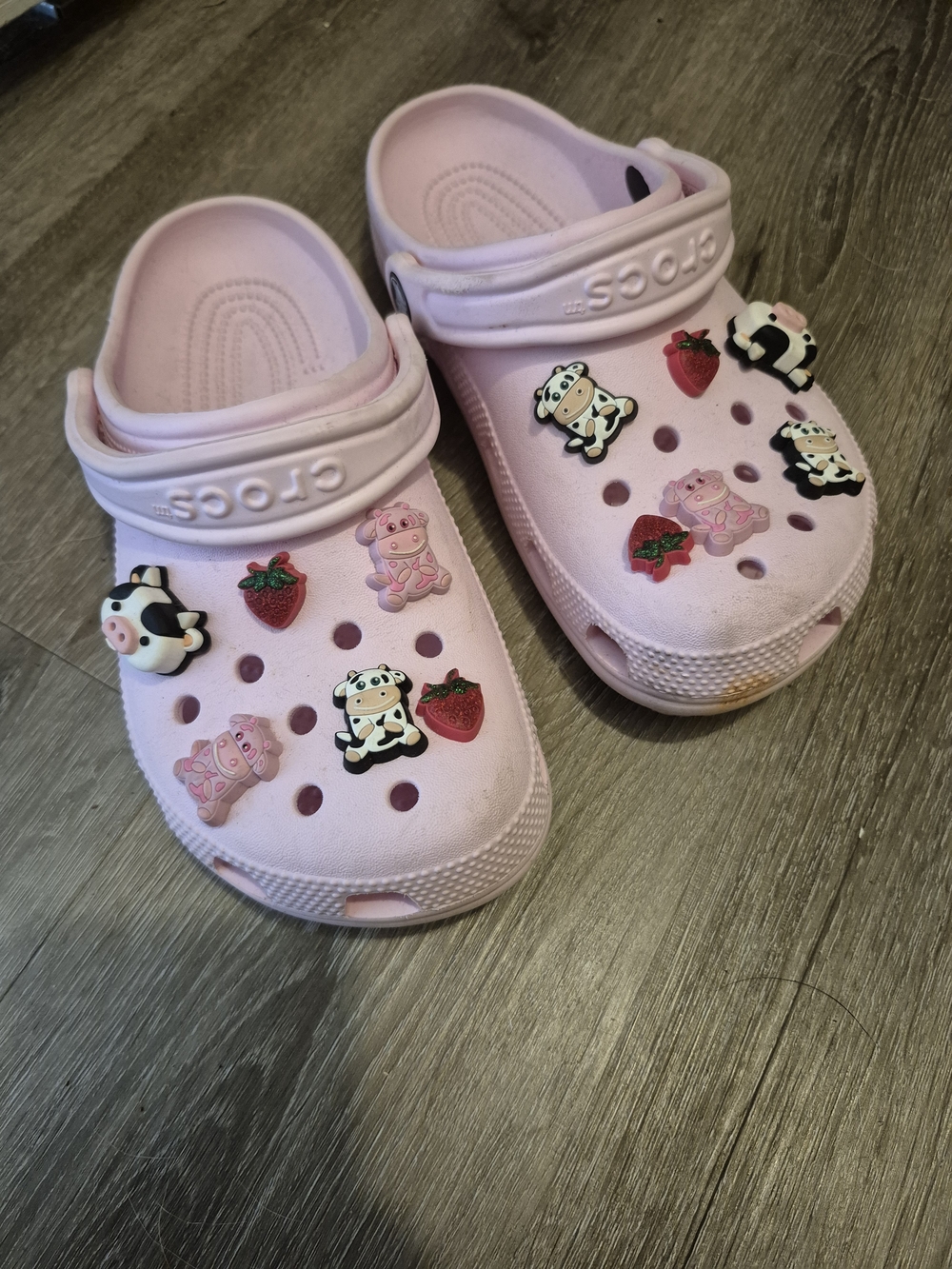 Crocs Classic Clog with Charms